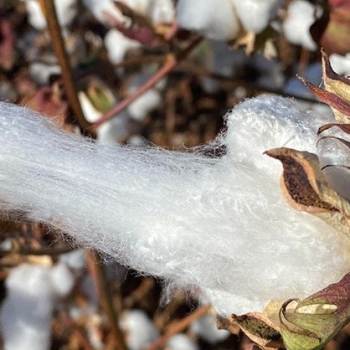 Em ritmo de fim de ano, Nova York tem poucas negociações, e commodities sobem