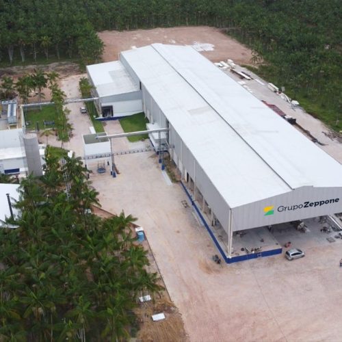 Polpanorte investe em marcas de baixo custo para manter a liderança em açaí