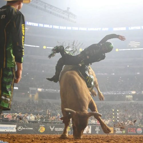 Quanto ganha um peão de rodeio? Descubra essa e outras curiosidades