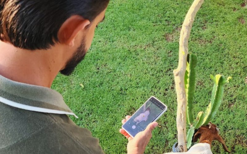 Startup do Nordeste aposta em aplicativo que elimina risco de pesar animais ‘no olho’