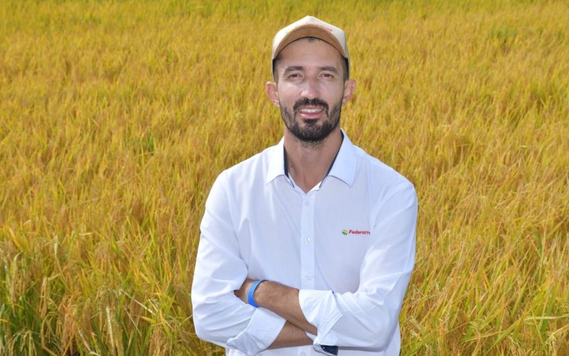 Produtor de arroz tem prejuízo na supersafra