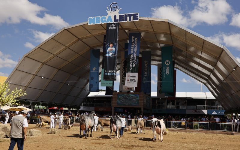 Megaleite 2025 amplia número de leilões e prevê movimentar R$ 250 milhões
