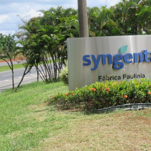 Grupo Syngenta tem queda de 6% nas vendas no terceiro trimestre