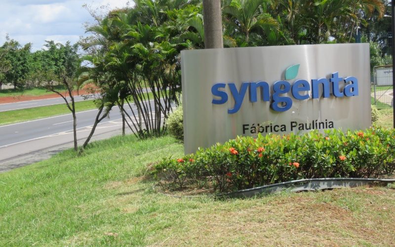 Programa de Estágio da Syngenta tem inscrições abertas até o dia 7; veja como se candidatar