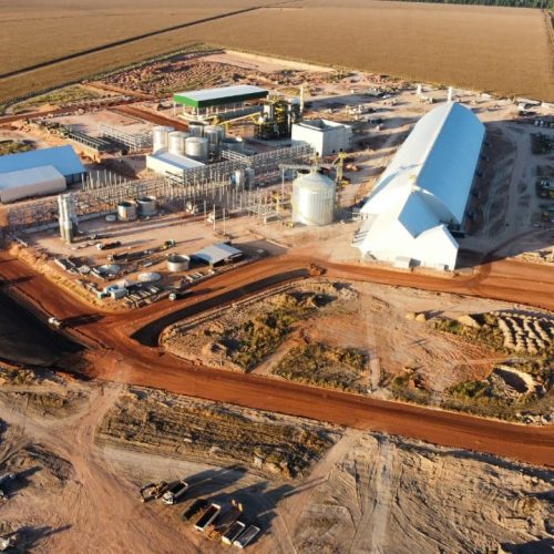 Com usina de R$ 1 bi, produtores de MT elevam demanda local por milho