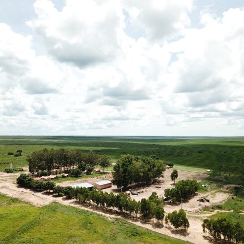 BrasilAgro vende fazenda na Bahia por R$ 141,4 milhões