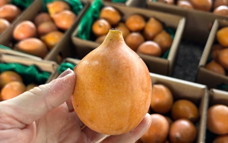 Achachairu: conheça a fruta exótica que o Brasil já exporta