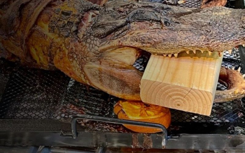 Operação em Brasília apreende carnes de jacaré e bovina com irregularidades