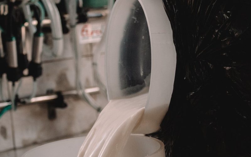 Preço do leite ao produtor cai 19% em um ano