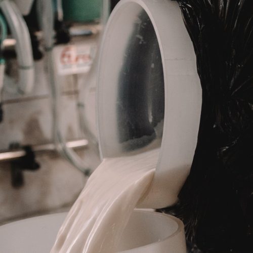 Preço do leite ao produtor deve subir 1,88% em janeiro no RS