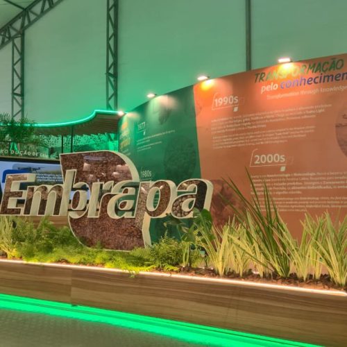 Embrapa leva à COP30 tecnologias de baixo carbono e centenas de palestras em cinco palcos