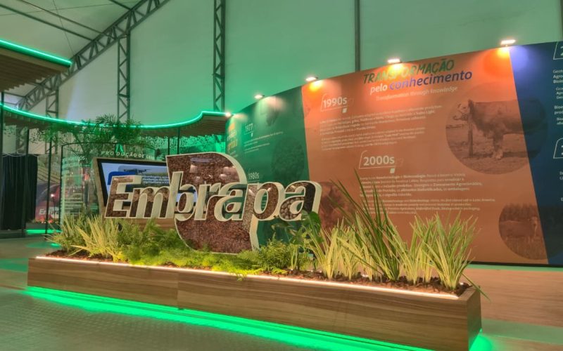 Embrapa leva à COP30 tecnologias de baixo carbono e centenas de palestras em cinco palcos