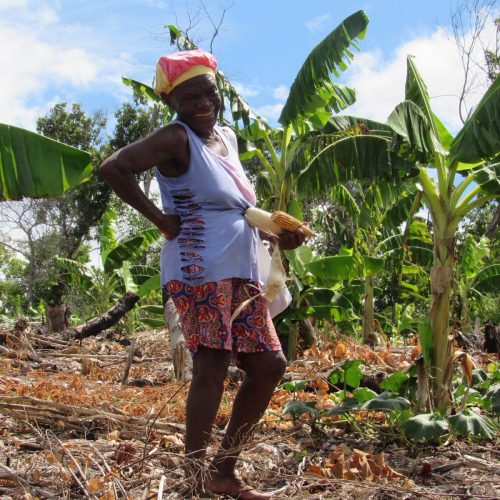 Como o manejo agroecológico de quilombolas pode combater o racismo ambiental
