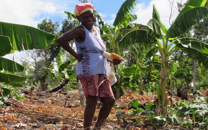 Como o manejo agroecológico de quilombolas pode combater o racismo ambiental