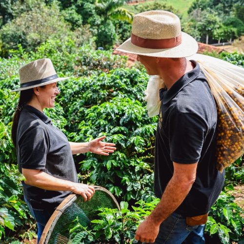 Demanda por cafés especiais impulsiona a abertura de microtorrefadoras no país