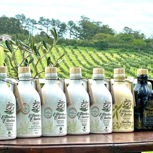 Veja quais são os melhores azeites do Brasil em 2025