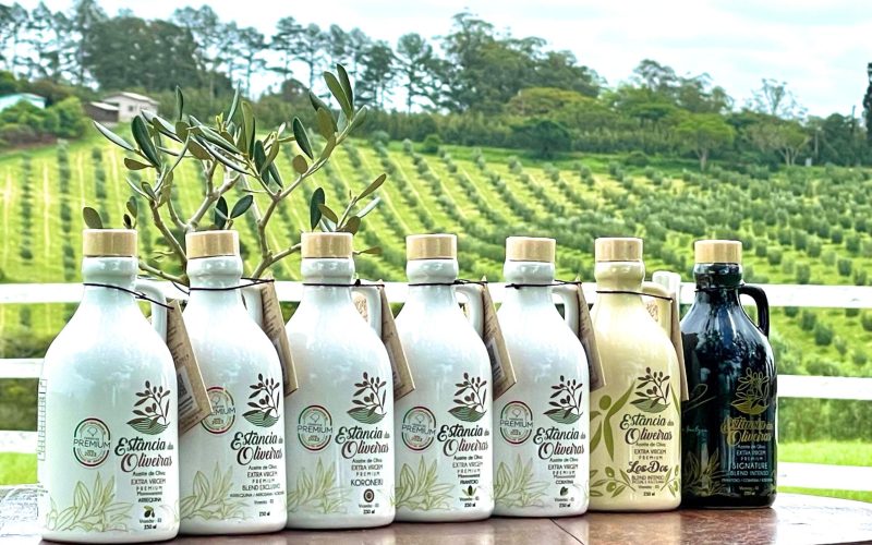 Veja quais são os melhores azeites do Brasil em 2025