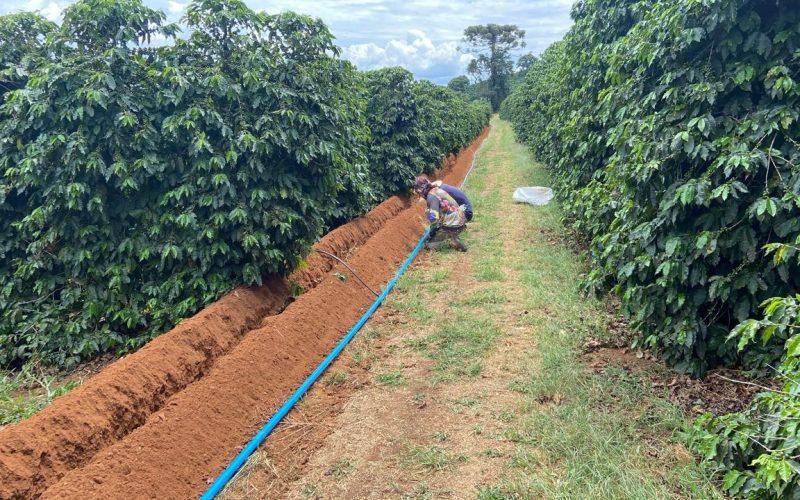 Extremos climáticos aceleram adoção da irrigação no café no sul de Minas