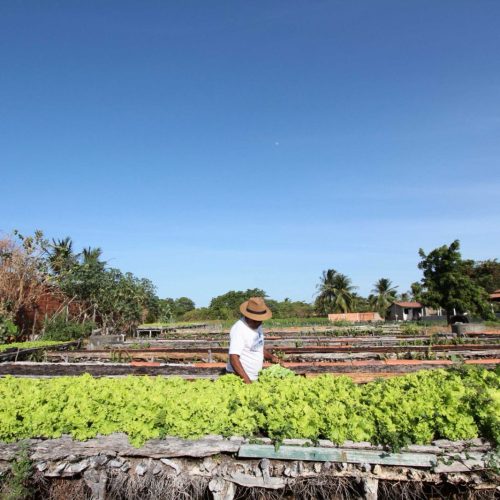 Crédito fundiário do Banco do Nordeste cresce 219% e beneficia mais de 800 famílias no campo