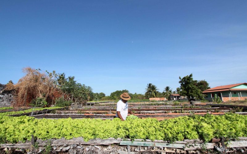 Crédito fundiário do Banco do Nordeste cresce 219% e beneficia mais de 800 famílias no campo