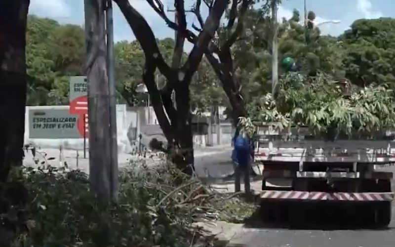 Queda de árvore derruba muro e poste no Genibaú durante fortes chuvas em Fortaleza