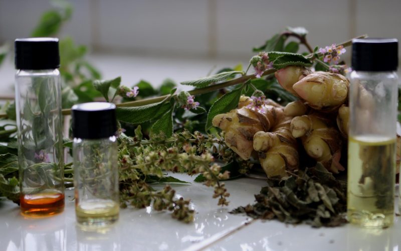 Novo marco dos fitoterápicos abre caminho para destravar mercado bilionário no Brasil