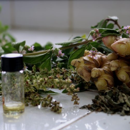 Novo marco dos fitoterápicos abre caminho para destravar mercado bilionário no Brasil