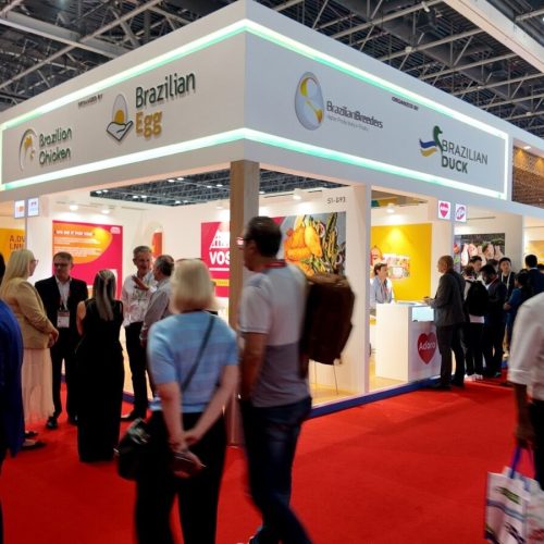 Indústria de aves e ovos projeta US$ 1,4 bilhão em negócios após feira em Dubai