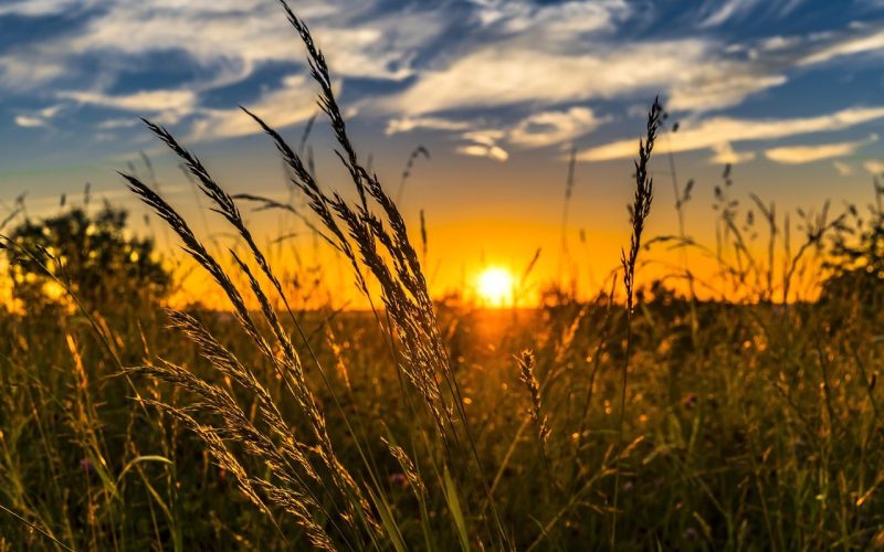 Temperaturas voltam a subir no Centro-Sul nesta sexta