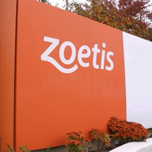 Lucro líquido da Zoetis sobe 9% no terceiro trimestre